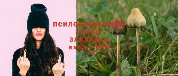 СК Магас