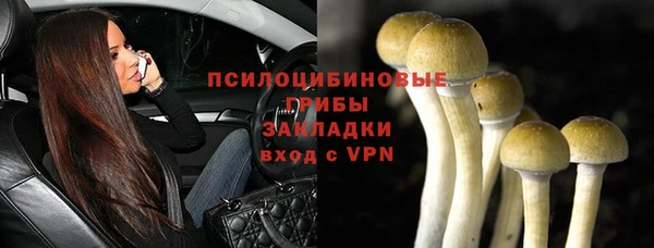 СК Магас
