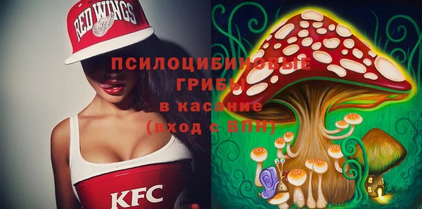 тгк Лиски